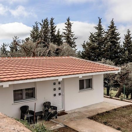 Apartament Olive Grove Bar Zewnętrze zdjęcie